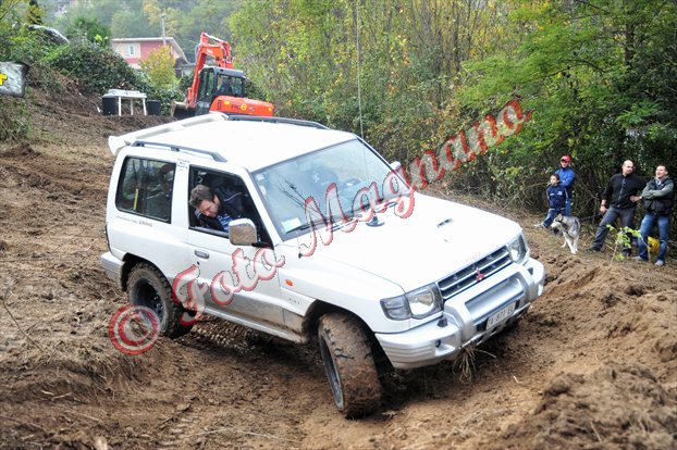 DSC_3778.jpg
